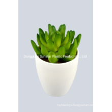 PE Succulent Artificial Plant W/White Pot for Home Decoration (50158)